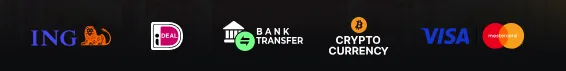 Logo's van ING, iDEAL, bankoverschrijving, crypto, Visa en Mastercard op de site